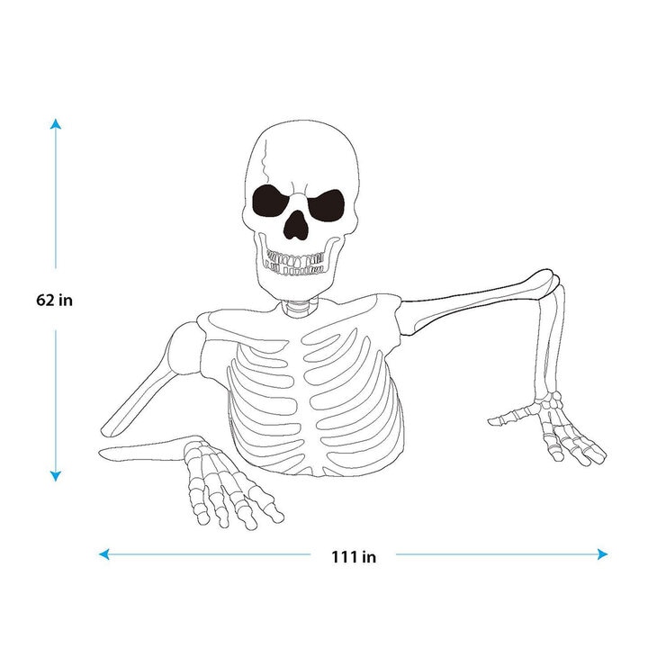 Giant Skeleton dimensions Image