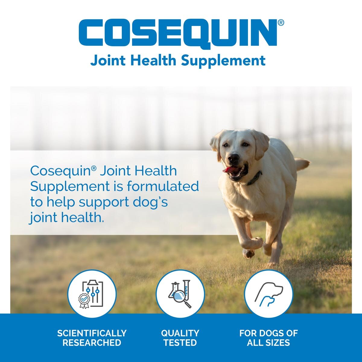 Cosequin Joint Health Supplement, 150 Count