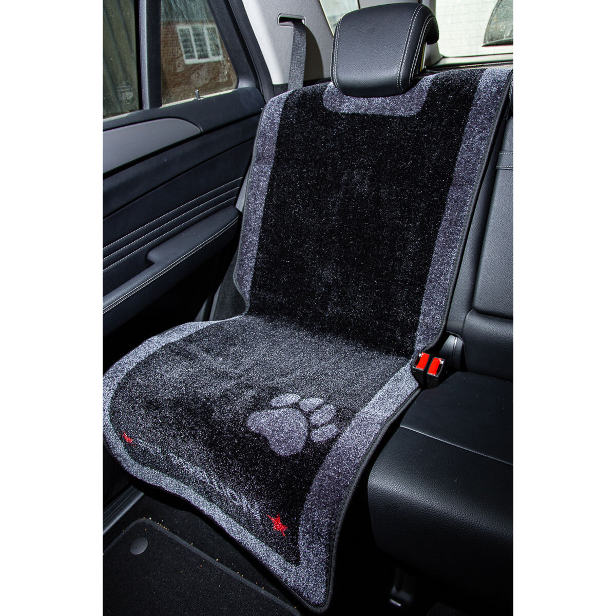 Car Seat in Vehicle