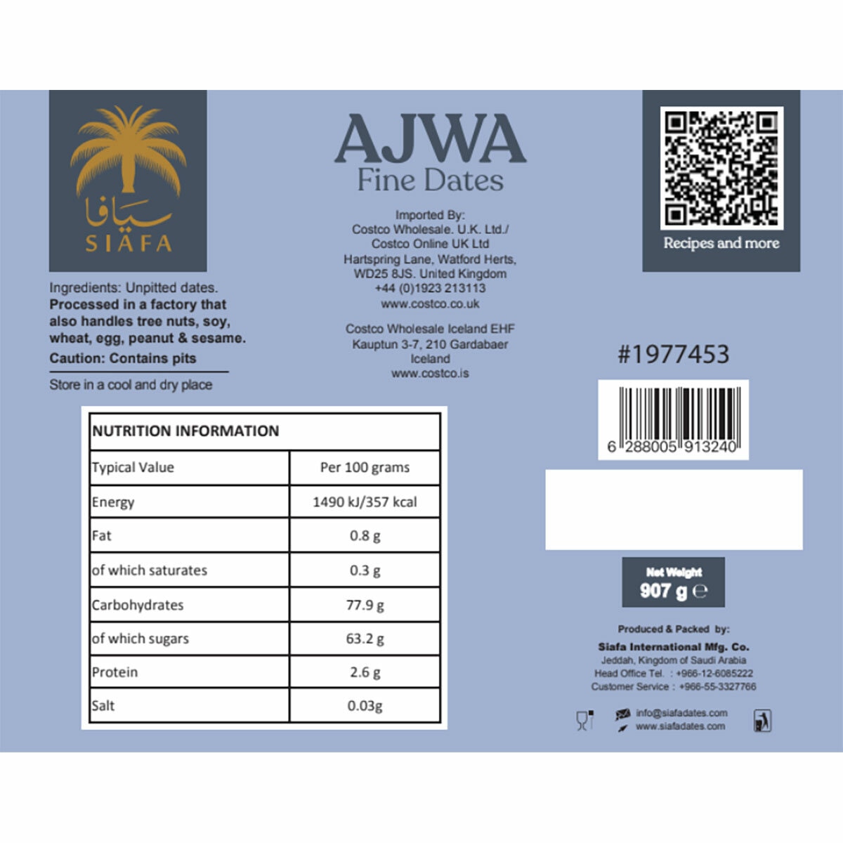 Back of Pack Back of Pack