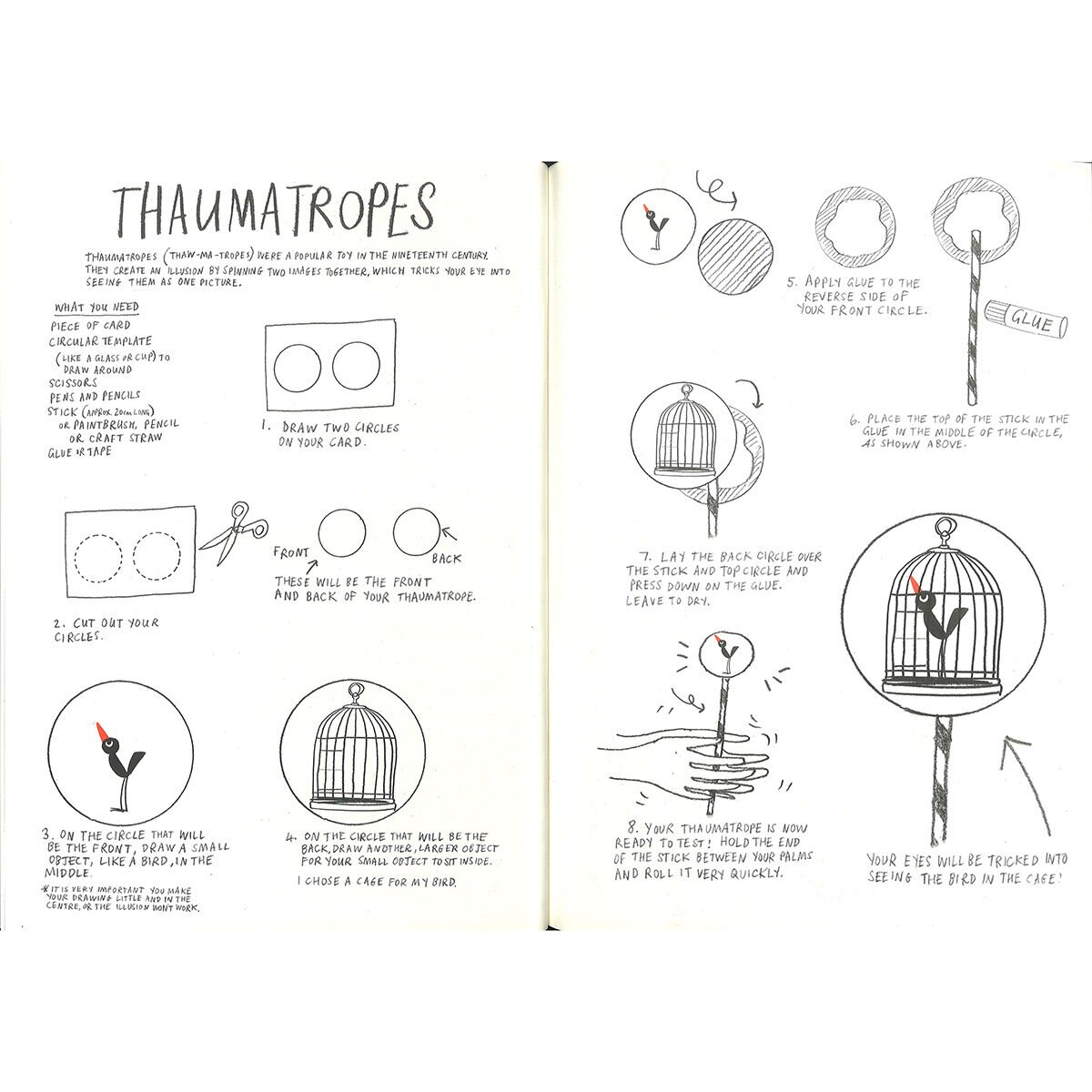 Thaumatropes