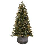 Polygroup 4.5ft tree with lights on white background