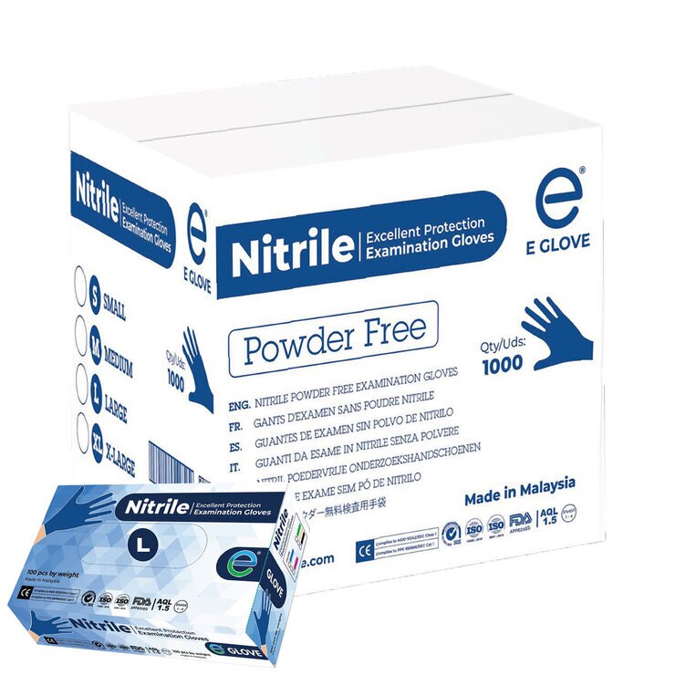 EGlove Nitrile Excellent Protection Examination Gloves Large, 10 x
