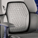 DPS® Centurion Gaming Chair with Adjustable Headrest in 2 Colours