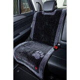 Car Seat in Vehicle