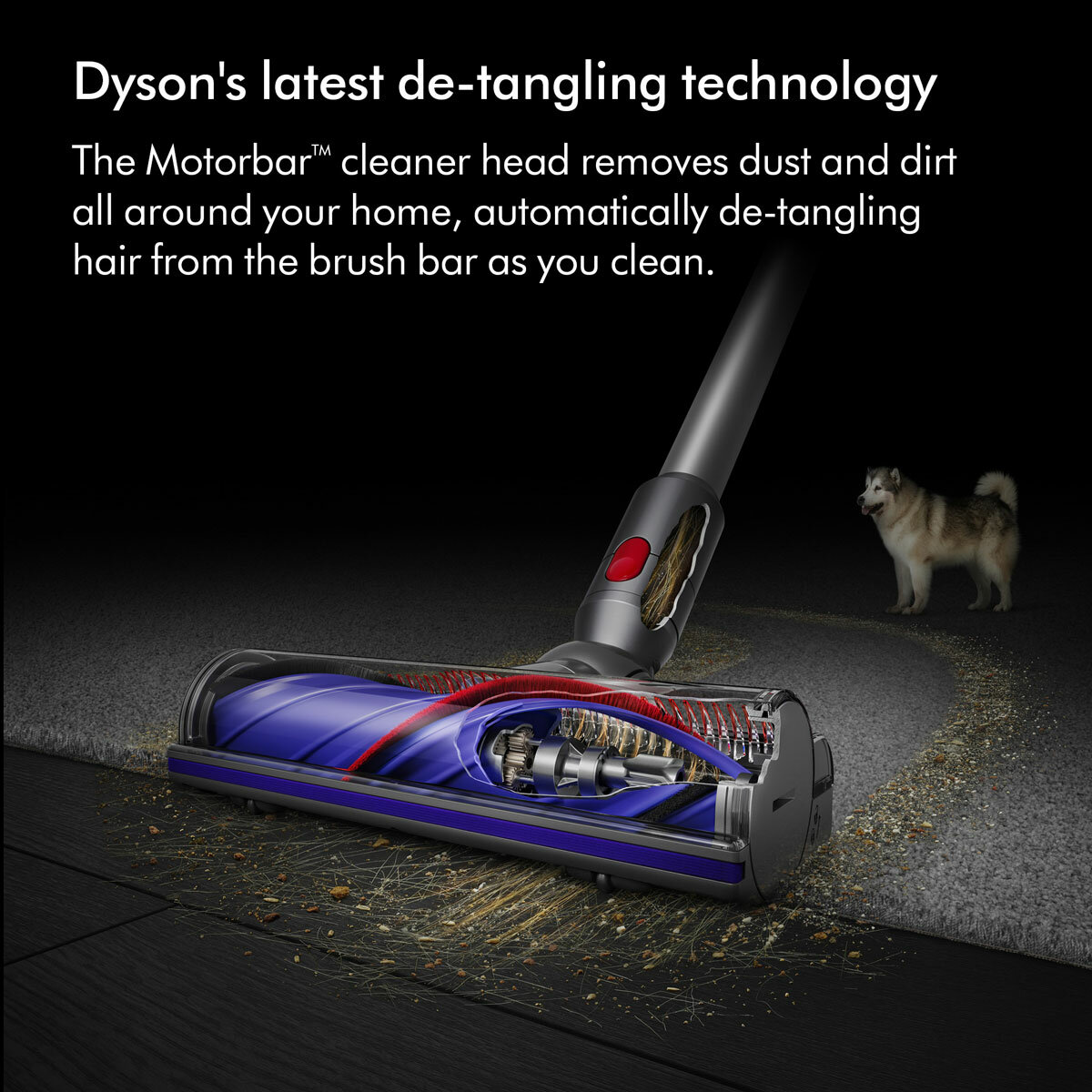 Lifestyle image of Dyson Cyclone V10 Submarine with detangling motorbar cleaner
