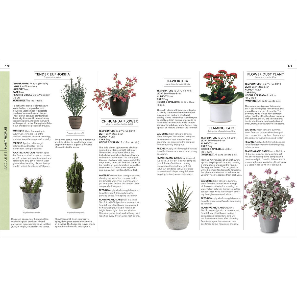 Practical House Plant Costco UK