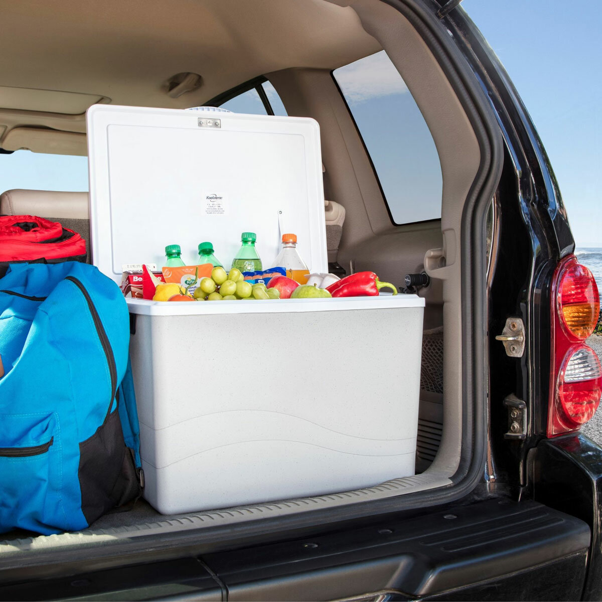 Koolatron 12V Electric Cooler 34L, Cool/Warm Box with Adjustable Strap in Grey