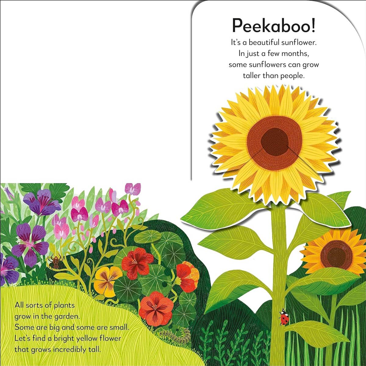Pop-up Peekaboo Garden