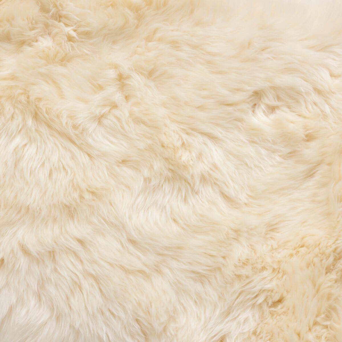 Bowron Long Wool Sheepskin Double Sided Cushion, 35 x 35cm in Champagne