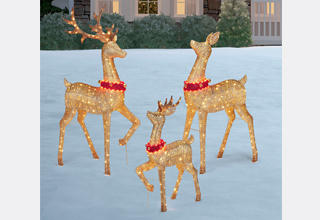 Christmas Decorations