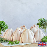 Herb Fed Free Range Whole Chickens,  6 x 2.2kg (Serves 6-8 people per Chicken)