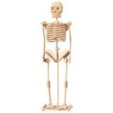 Cut out oimage of wooden human skeleton