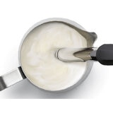 Milk Frother