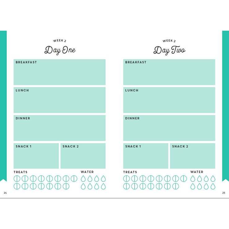 Page spread image of Pinch of Nom Food Planner
