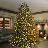 2000 LED Tree Brights Warm White colour String Lights