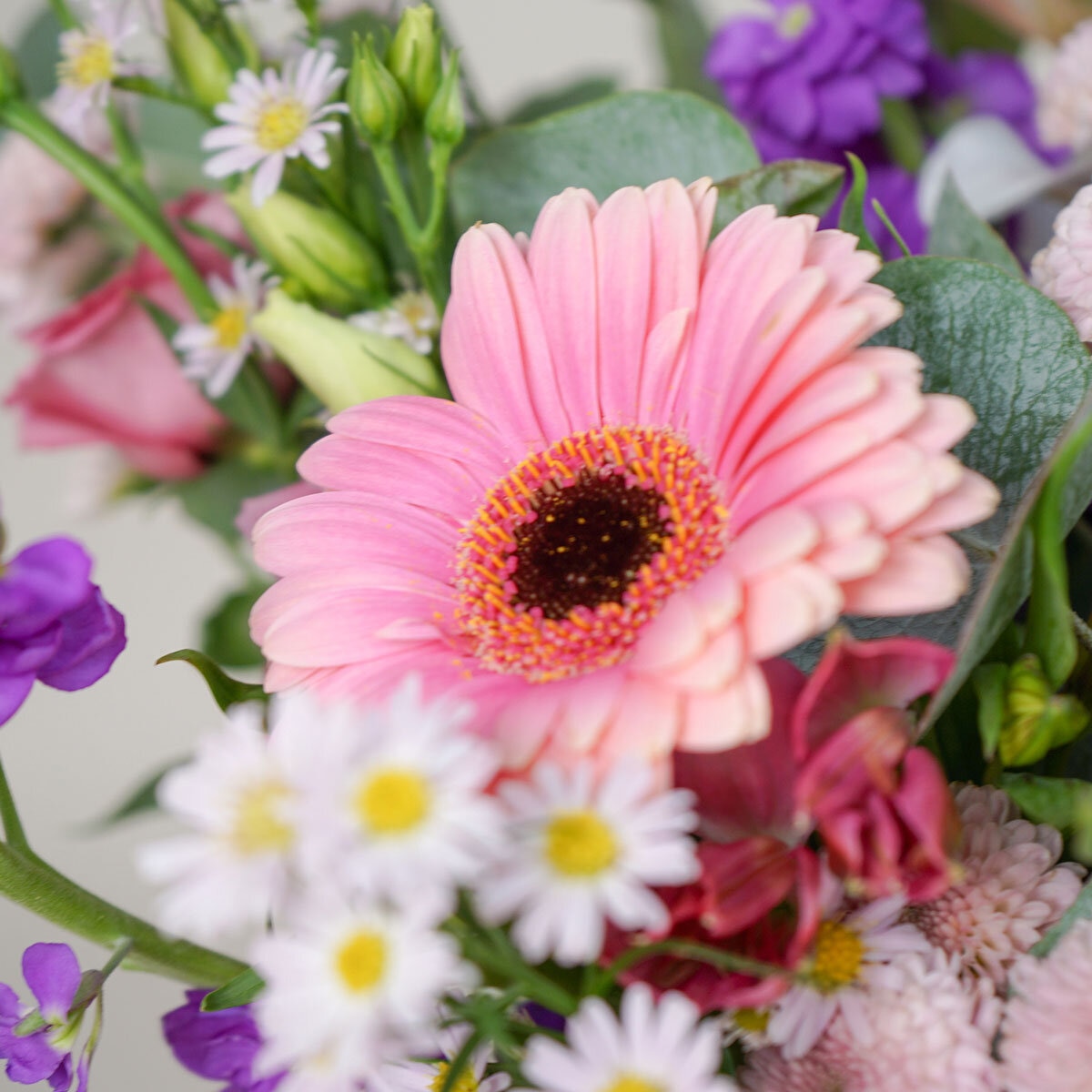 50 Stem Pink Radiance Flower Bouquet with Greetings Card