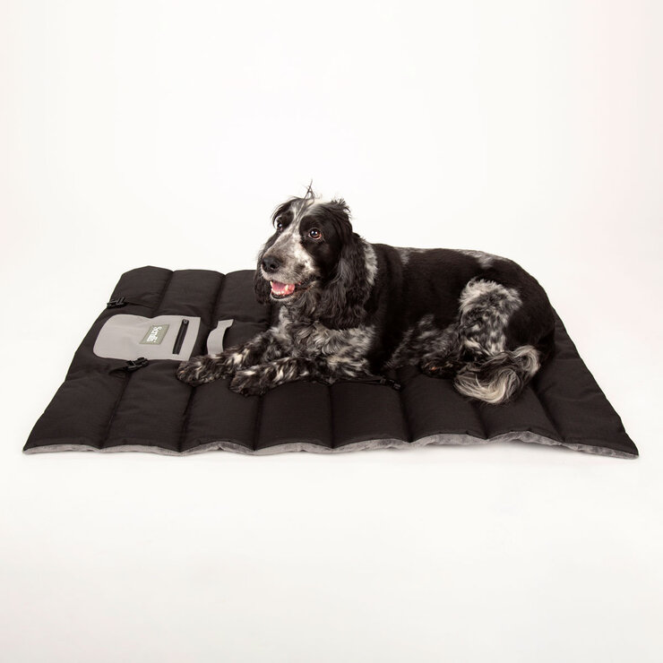 Black and White Dog on Travel Bed Black and White Dog on Travel Bed
