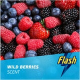 Wild Berries Scent Wild Berries Scent