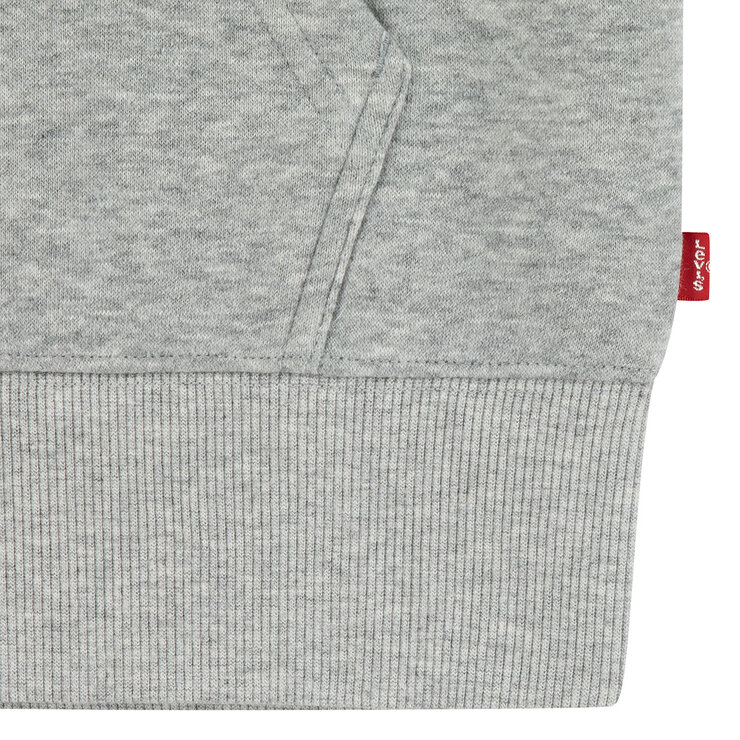 Levi Youth Zip Up Hoodie in Grey