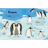Animals 3