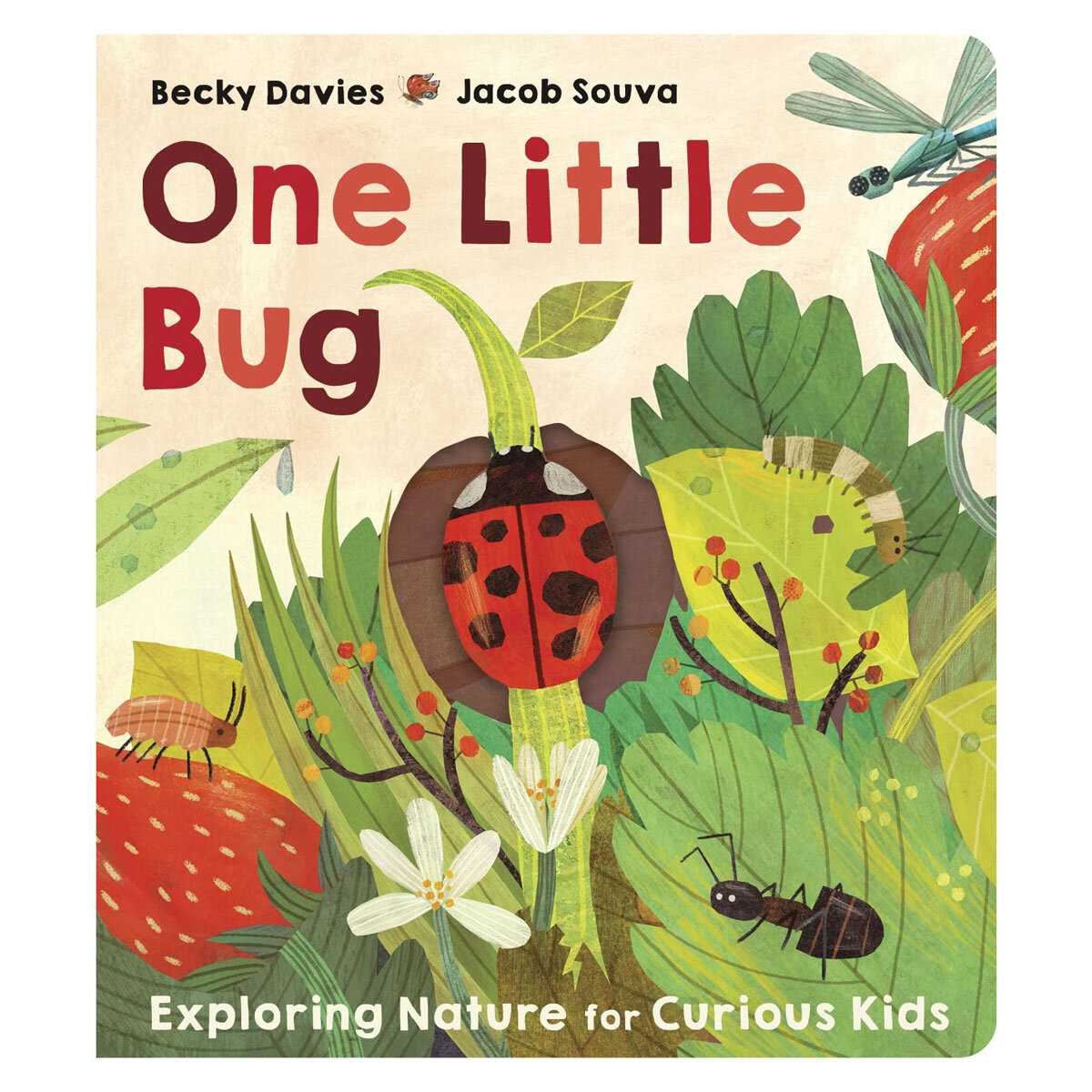 One Little Board Book by Becky Davies and Jacob Souva in 3 Options: One Little Bug, One Little Egg or One Little Little Seed