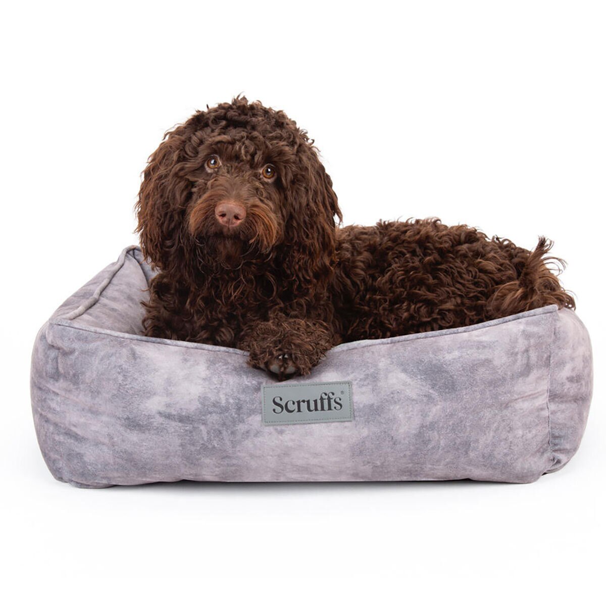 Birdrock dog cot clearance