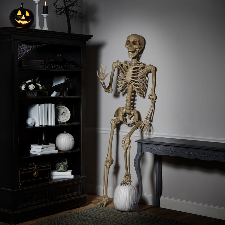 Halloween 7ft (2.1m) Poseable Skeleton Halloween 7ft (2.1m) Poseable Skeleton
