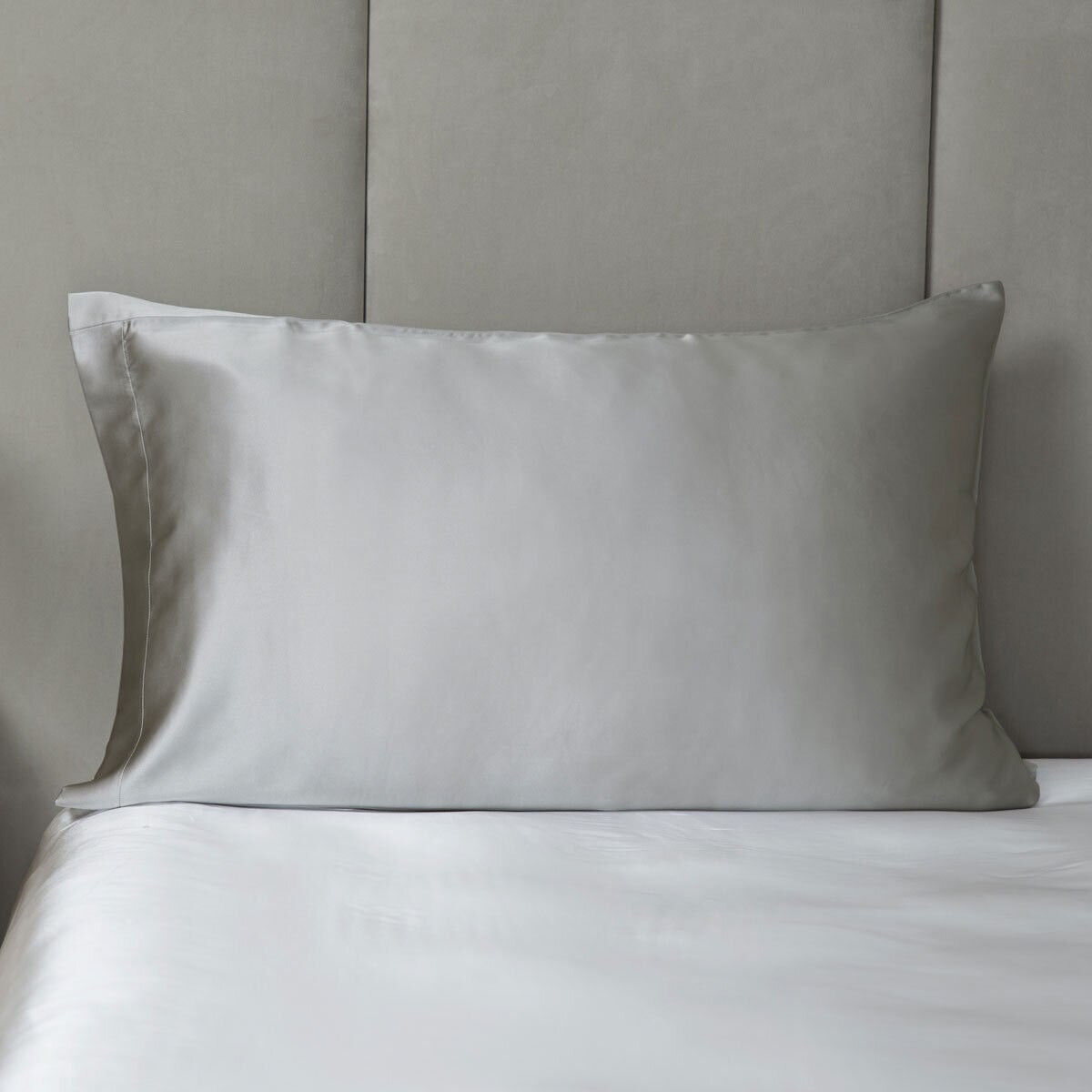 Cocoonzzz 100% Mulberry Silk Pillowcase, Platinum