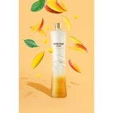 Roberto Cavalli Vodka Mango, with mangos around it