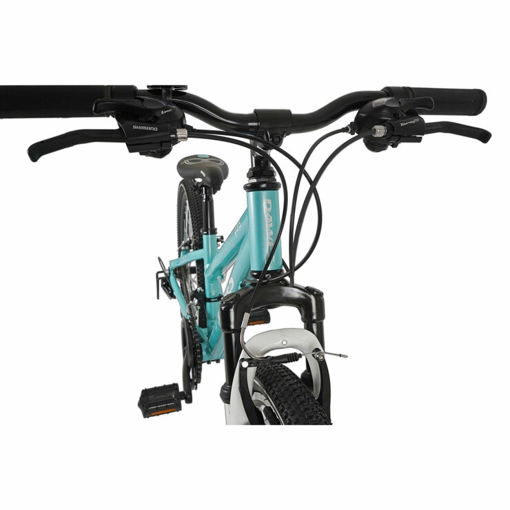 Dawes 24" Paris HT Kids Mountain Bike