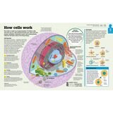 Page spread of How food works