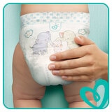 Pampers Baby Dry Nappies Size 4, 36 x Monthly 174 Pack