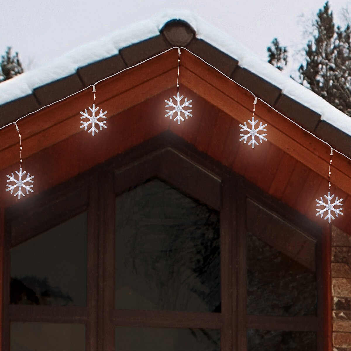 Costco shop snowflake lights