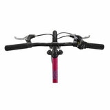 Dawes 20" Paris HT Kids Mountain Bike