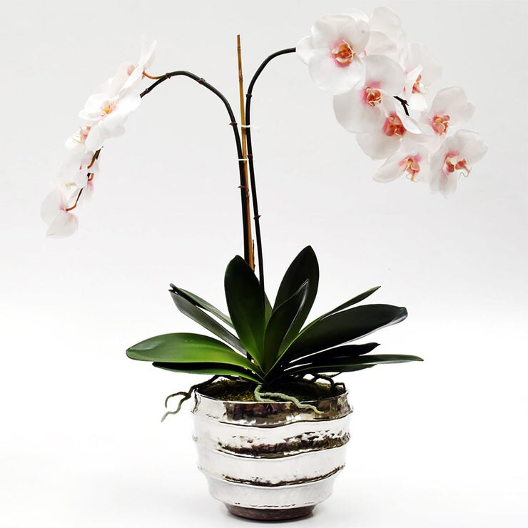 Bamburgh Silk Orchid, White &amp; Pink in Silver Bowl, 70cm