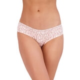 Steve Madden Brief, 5 Pack