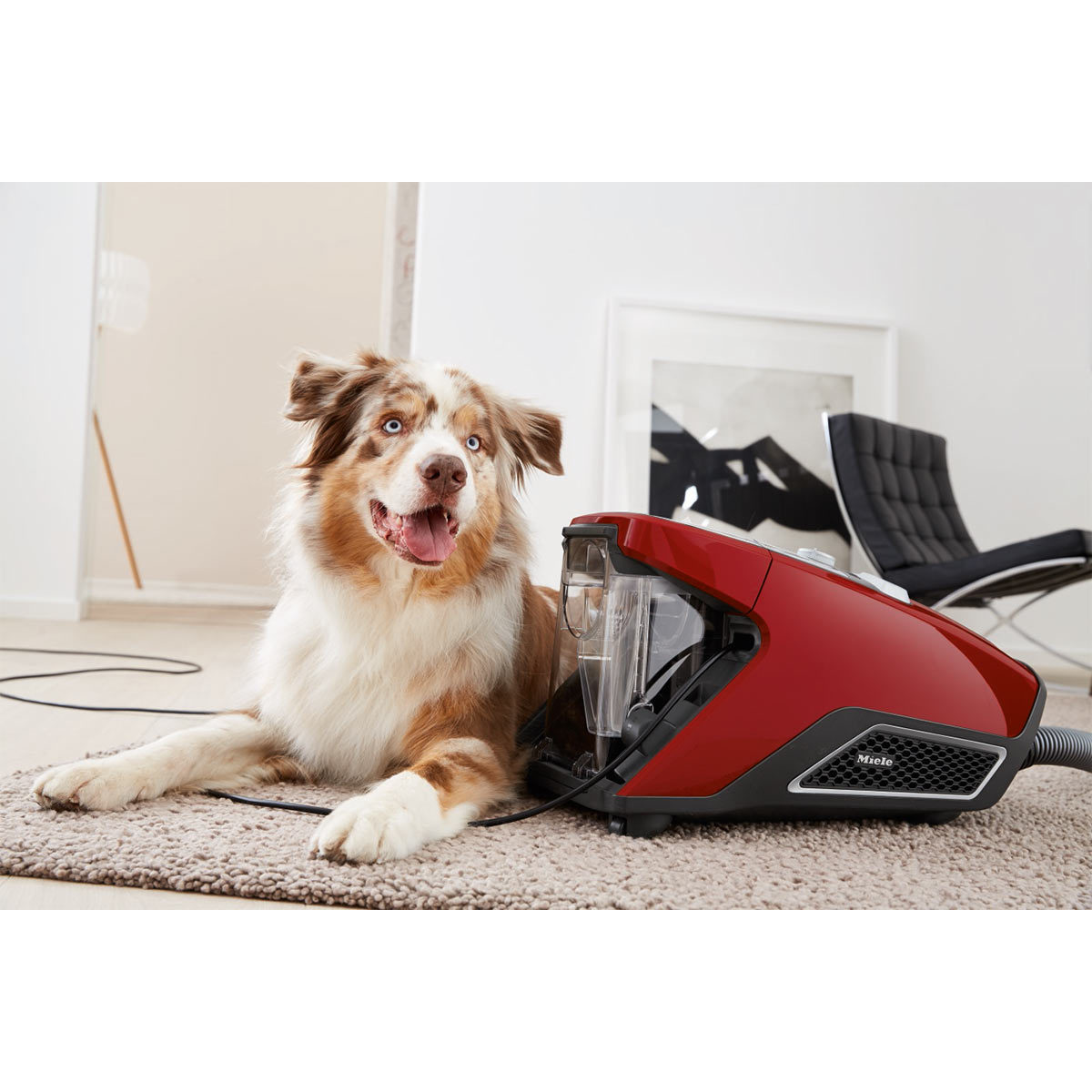 Miele Blizzard CX1 Cat & Dog PowerLine Bagless Cylinder Vacuum Cleaner SKCF3