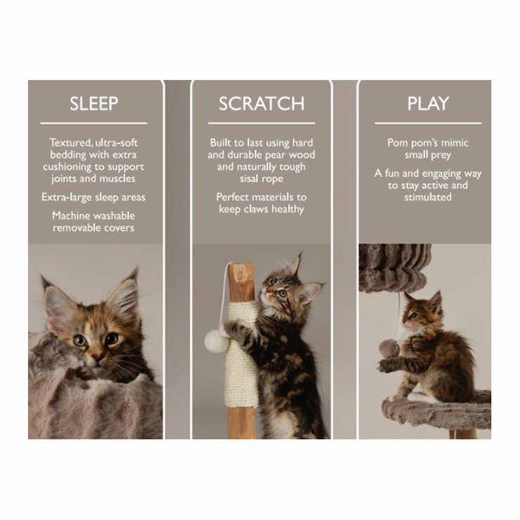 Sleep, Scratch & Play Sleep, Scratch & Play