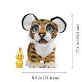 Tiger to scale on white background with dimensions