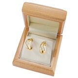 14ct Yellow Gold Double Hoop Link Earrings