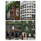 4 Images of different Dublin architecture