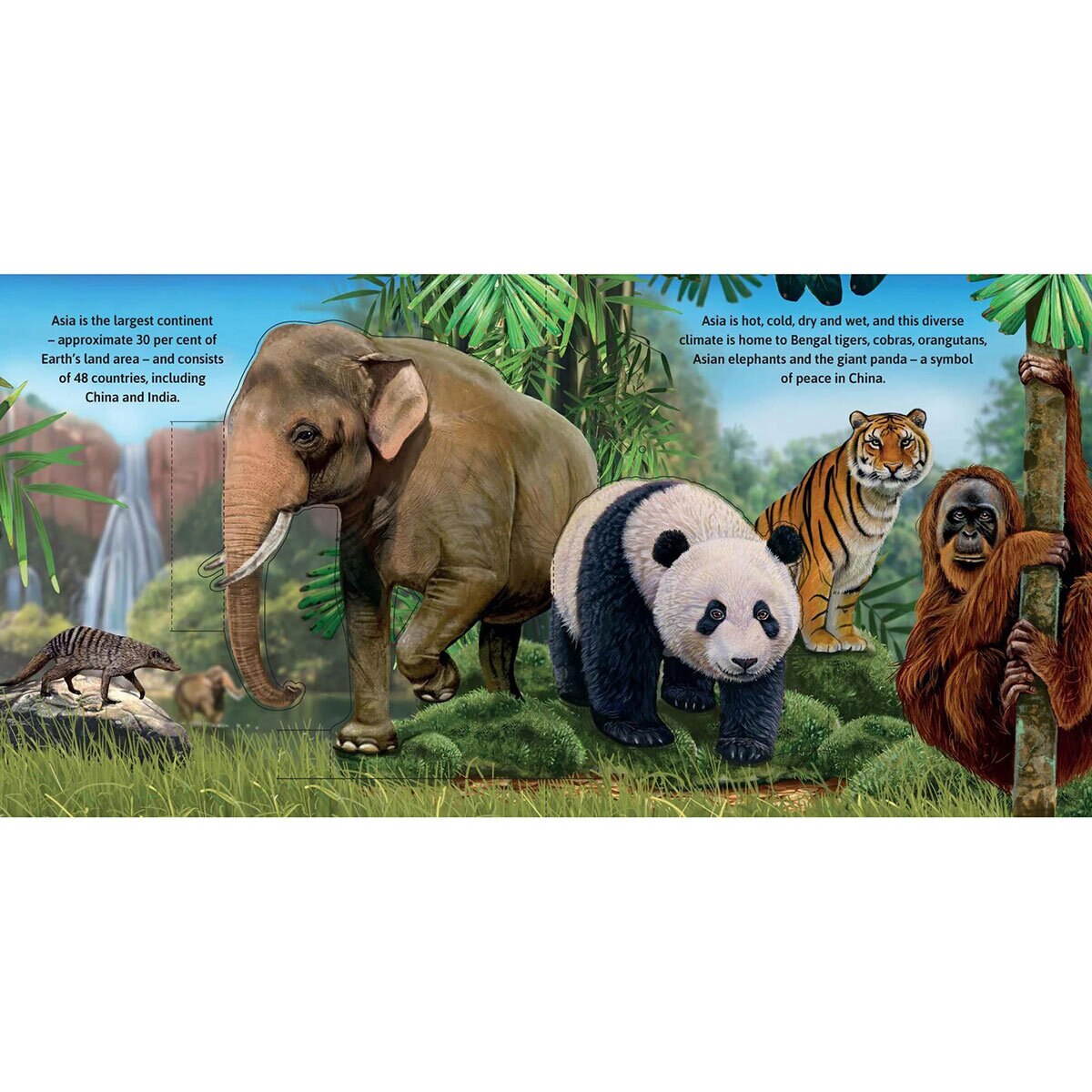 Wild Animals 3