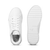 Puma_3