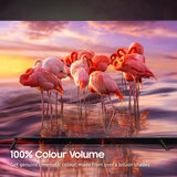 Buy Samsung QE65S95BATXXUU 65 Inch QD OLED 4K Ultra HD Smart TV at costco.co.uk