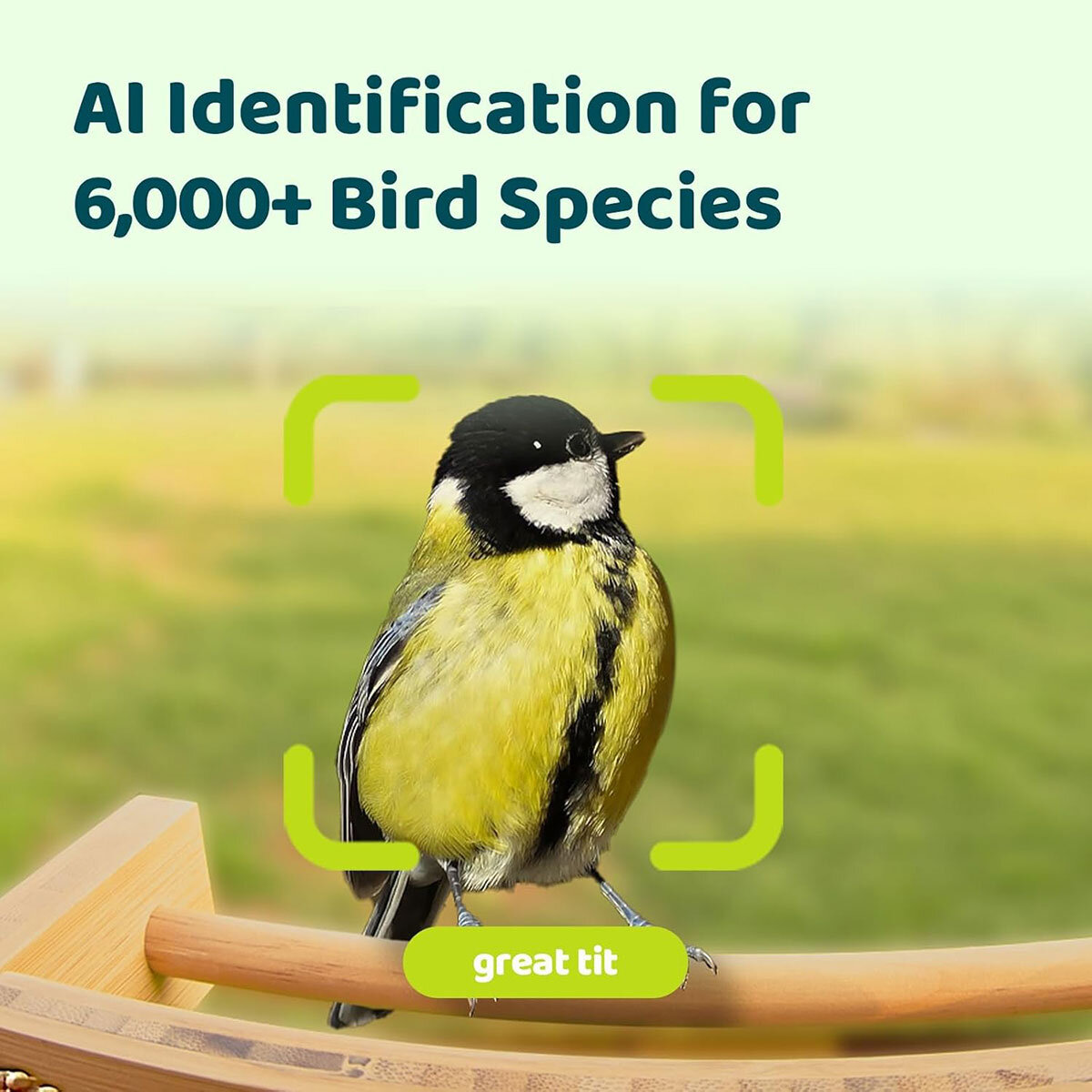 Birdfy Bamboo Bird Feeder with Solar Panel, HD Camera & Lifetime AI Feature Access