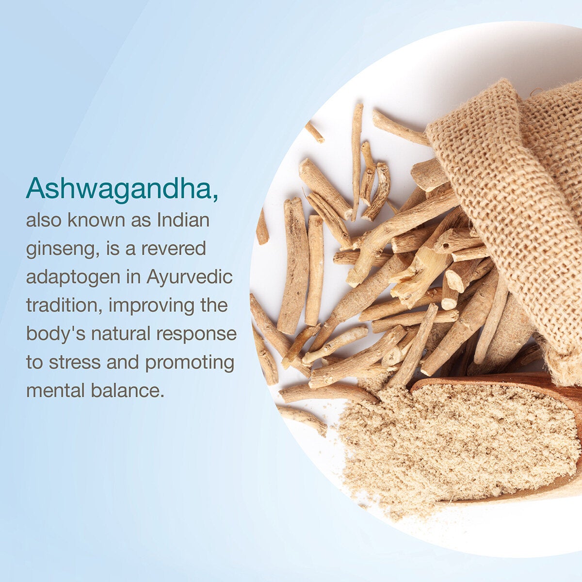 What is Ashwagandha What is Ashwagandha