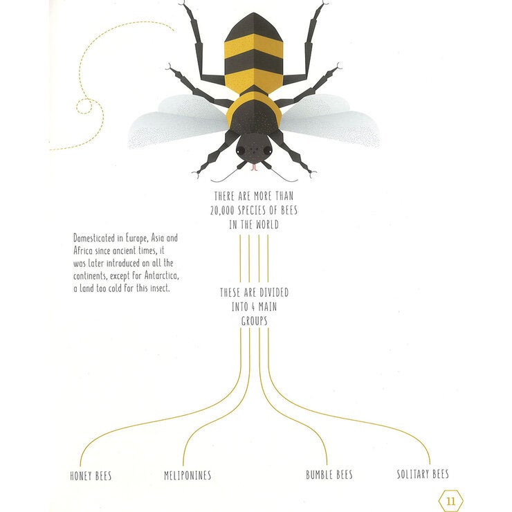 page spread bee page spread bee