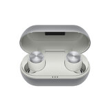 Earbuds & case