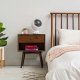 Woozoo Desk Fan